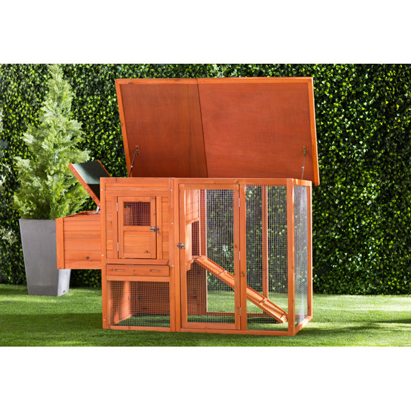 Archie & Oscar™ Freddy Chicken Coop with Chicken Run/Nesting Box